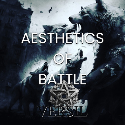Aesthetics of Battle？(The Story)/VERSIL