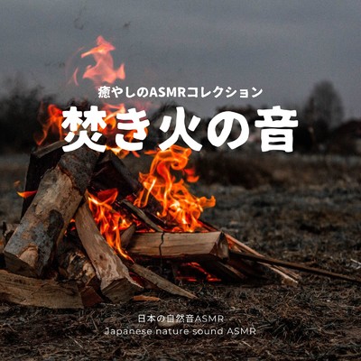 森でくつろぐ-焚き火ASMR-/日本の自然音ASMR