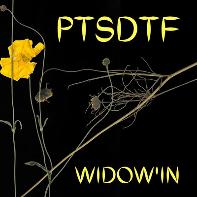 Widow'in/PTSDTF
