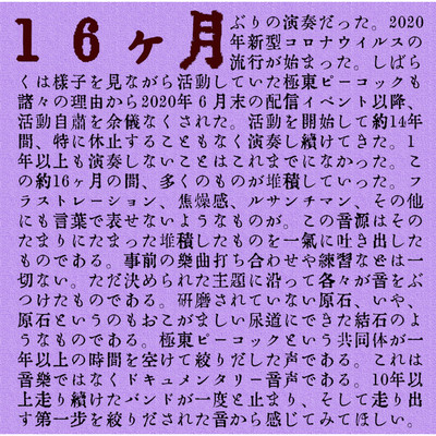 アルバム/16ヶ月(EP)/極東ピーコック