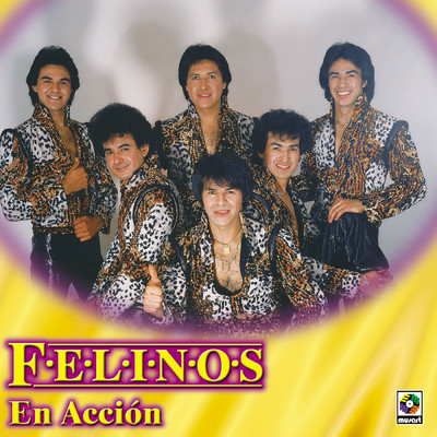 アルバム/Felinos en Accion/Los Felinos