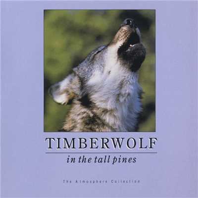 Timberwolf In Tall Pines/Atmosphere Collection