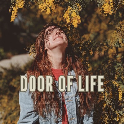 アルバム/Door of life/2strings