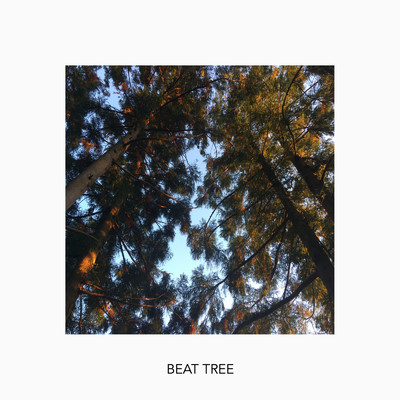 アルバム/Beat Tree/Why She？