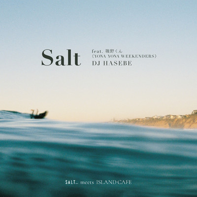 シングル/Salt (feat. 磯野くん)/DJ HASEBE