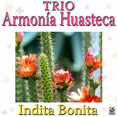 Indita Bonita/Trio Armonia Huasteca