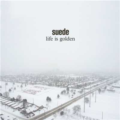 Life is Golden/スウェード