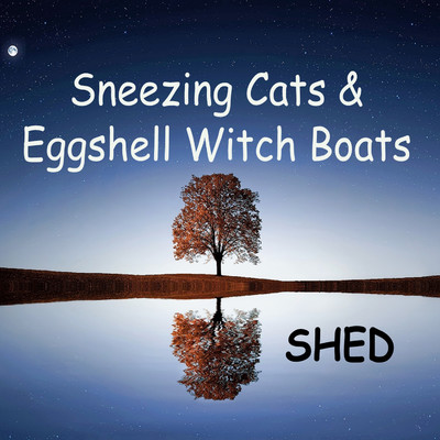 Sneezing Cats and Eggshell Witch Boats/Shed