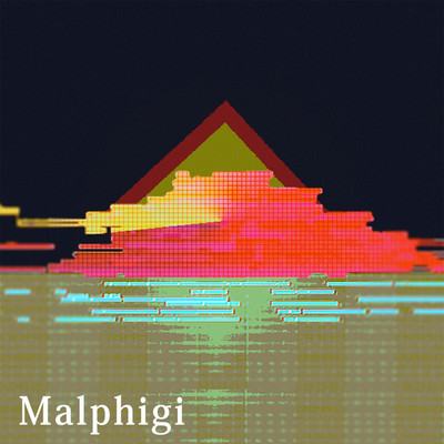 predawn/Malphigi