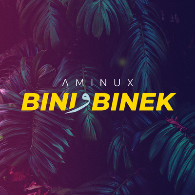 シングル/Bini W Binek/Aminux