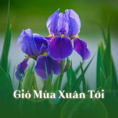 Gio Mua Xuan Toi/Phuong Nhi