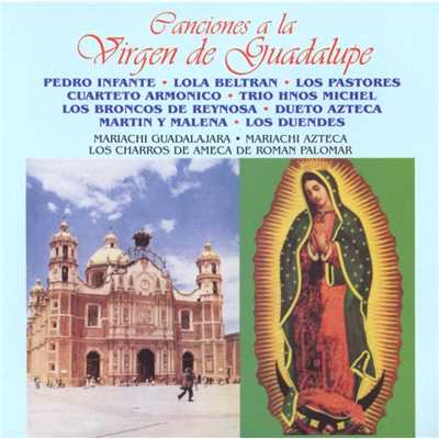 Canciones a la Virgen de Guadalupe (14 Tracks)/Various Artists