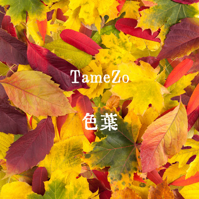 シングル/色葉/TameZo