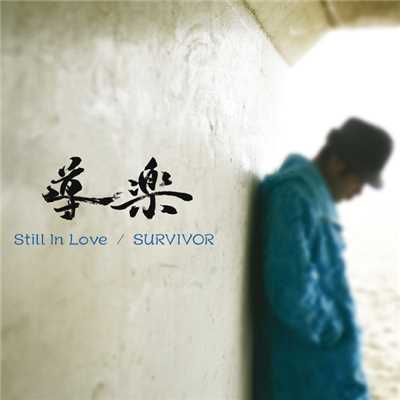 Still In Love (CROCODILE RIDDIM)/導楽