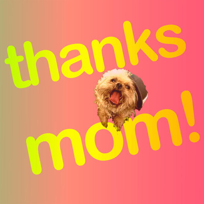 シングル/Thanks Mom (feat. Sam Vile)/The Melting Clock