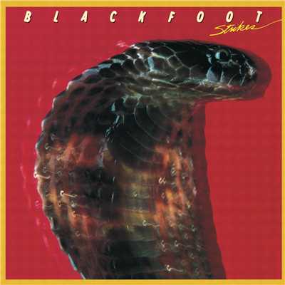 アルバム/Strikes/Blackfoot
