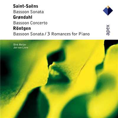 Bassoon Sonata: I. Lento e mesto/Dirk Meijer and Jan van Liere