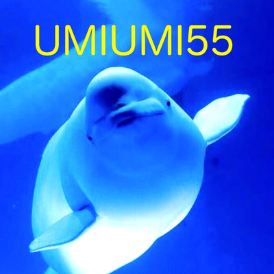 アルバム/UMIUMI55/UMI