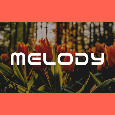 アルバム/Melody/BTS48