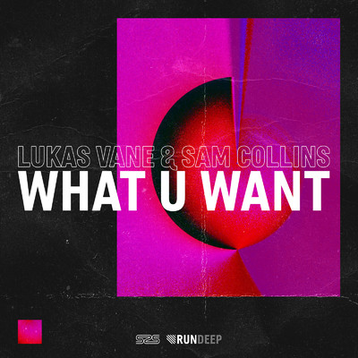What U Want/Lukas Vane & Sam Collins