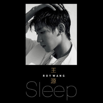 シングル/Sleep/Roy Wang