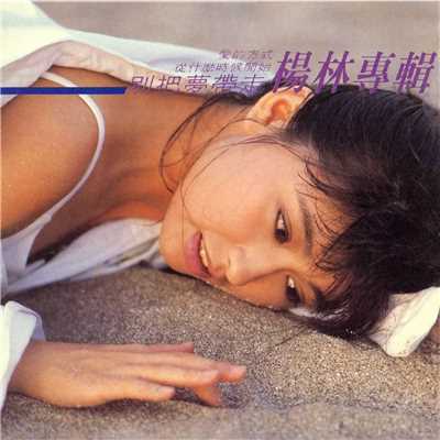 Ai De Fang Shi (Album Version)/Diana Yang