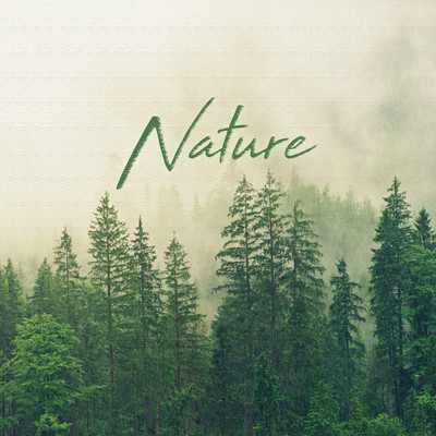 アルバム/Nature/NS Records