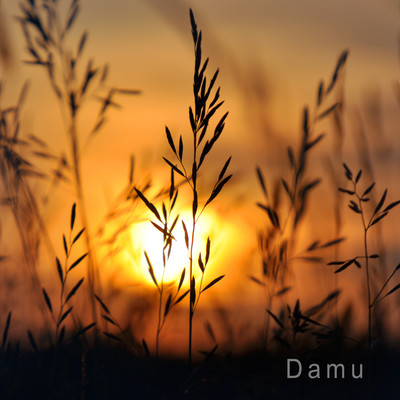 シングル/Time to (Instrumental)/Damu