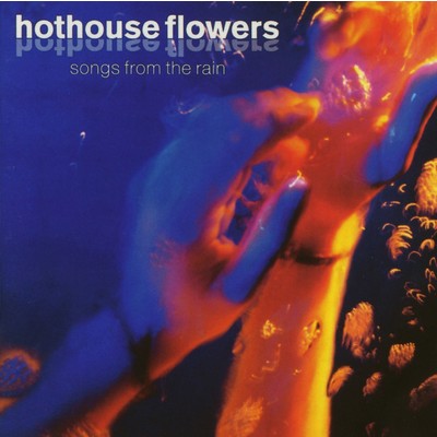 アルバム/Songs from the Rain/Hothouse Flowers