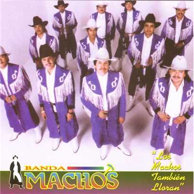 Los machos tambien lloran/Banda Machos