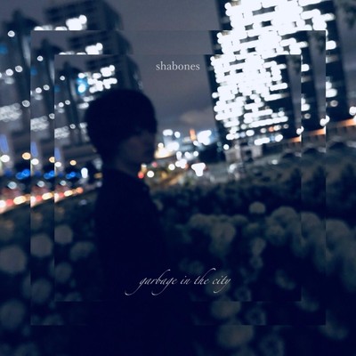 garbage in the city/shabones