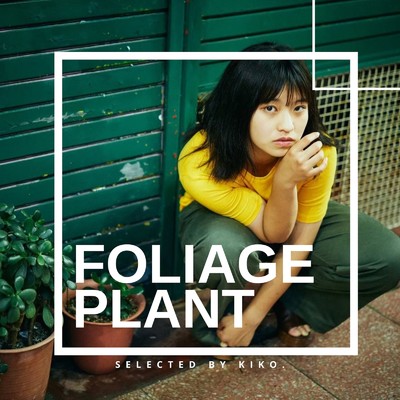 FOLIAGE PLANT selected by KIKO/epi records