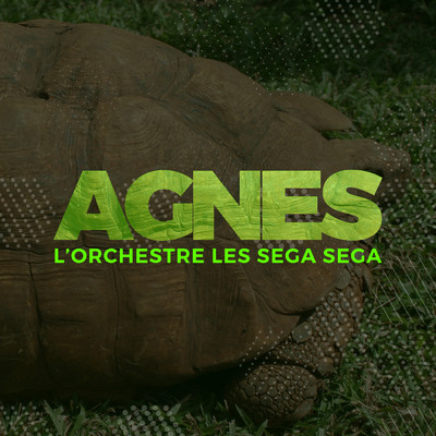 Agnes/L'Orchestre Les Sega Sega
