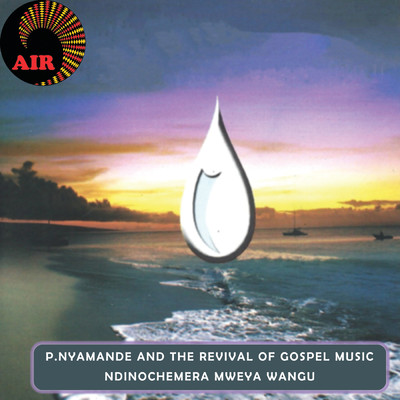 Mberi Mberi Masoja/P.  Nyamande & The Revival of Gospel Music