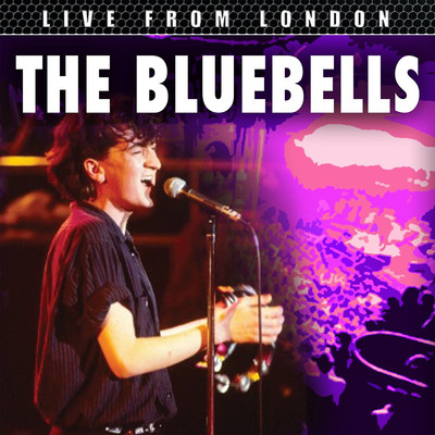 All I Am (Is Loving You) [Live]/The Bluebells