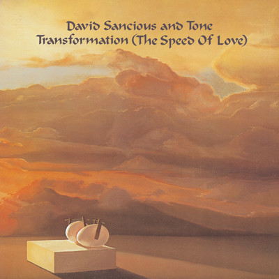 Transformation (The Speed of Love)/David Sancious／Tone