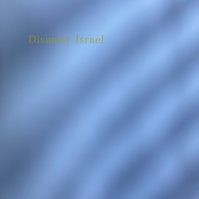 シングル/Disunity Israel/ナリタ マサヒロ