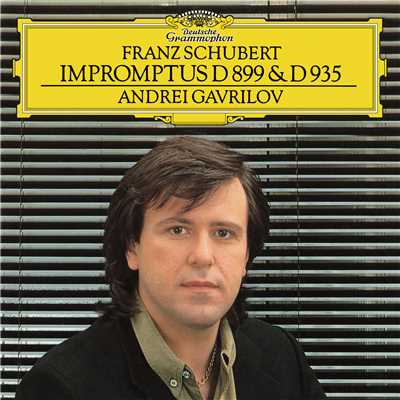 アルバム/Schubert: Impromptus Op.90, D.899 & Op.142, D.935/アンドレイ・ガヴリーロフ
