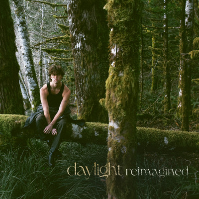 アルバム/Daylight (Reimagined)/David Kushner