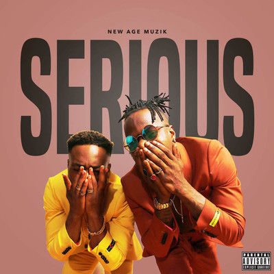 Serious (feat. Prince and K4mo)/NewAgeMuzik