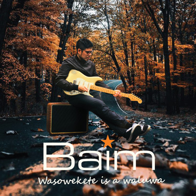アルバム/Wasowekete is a Waluwa/Baim