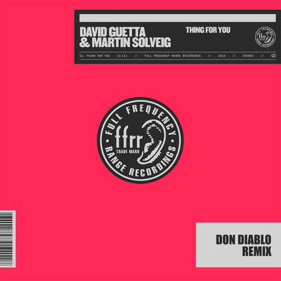 Thing For You (Don Diablo Remix)/David Guetta & Martin Solveig