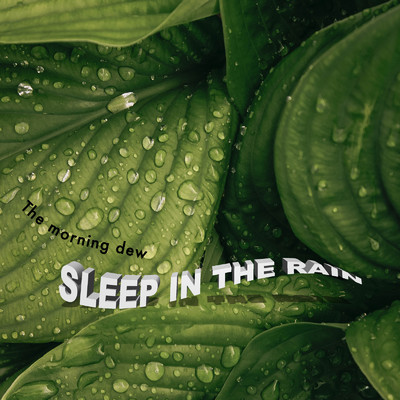 アルバム/SLEEP IN THE RAIN/The Morning Dew