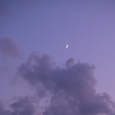 Moonlight Sky/That Tender Light