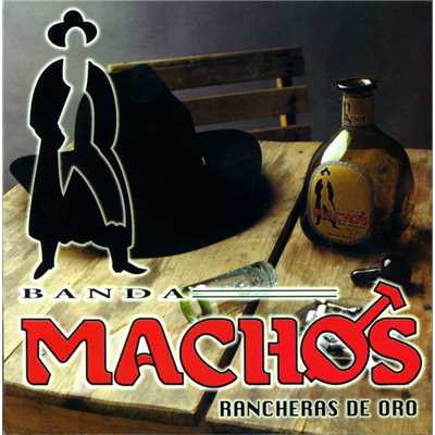 アルバム/Rancheras de oro/Banda Machos
