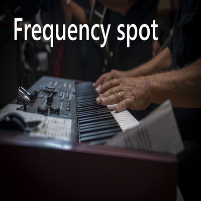 アルバム/Frequency spot/Babinski age