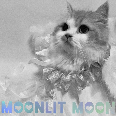 Moonquake/MOON