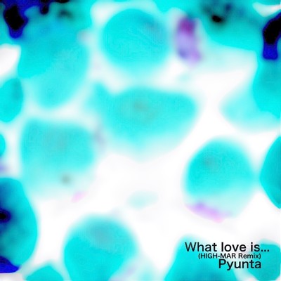 What love is... (HIGH-MAR Remix)/Pyunta