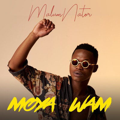 Umoya Wam (featuring The Majestic, De Mthuda, Ntokzin)/MalumNator