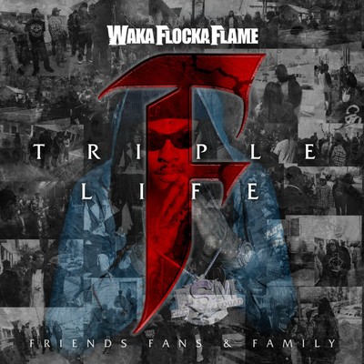 Get Low (feat. Nicki Minaj, Tyga & Flo Rida)/Waka Flocka Flame